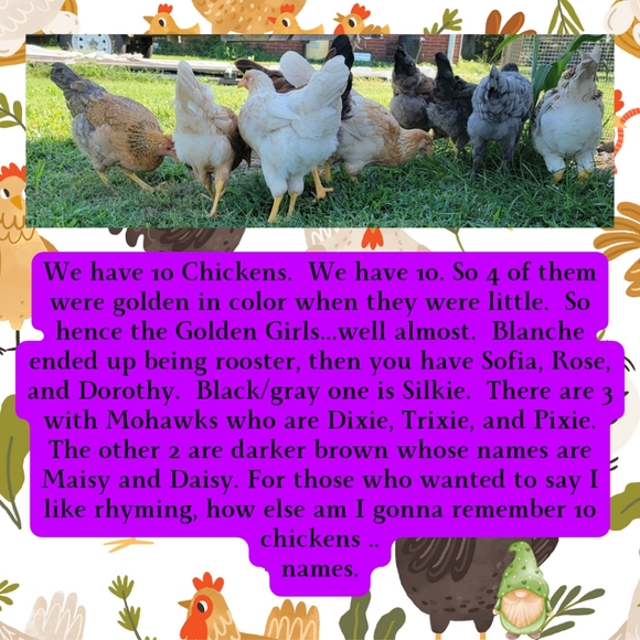 @spazcmt55 Meet Your Posher - Picture 10 of 11